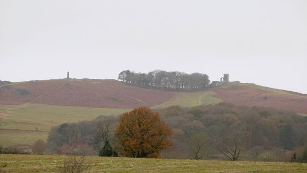 Old John in Bradgate Park